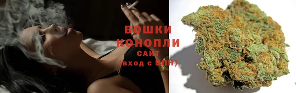 крисы Вязьма