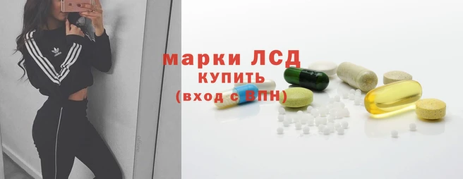 крисы Вязьма