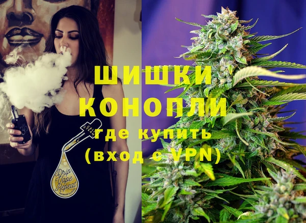 крисы Вязьма
