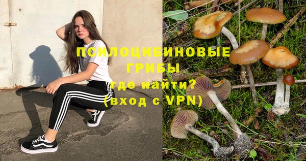прущая мука Вязники