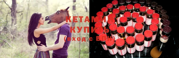крисы Вязьма