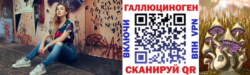 где купить   Лиски  Галлюциногенные грибы Psilocybine cubensis 